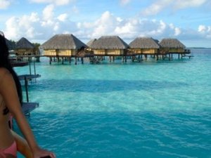 1909958_1189701866693_1120985_n