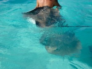 1909958_1189712746965_2278462_n