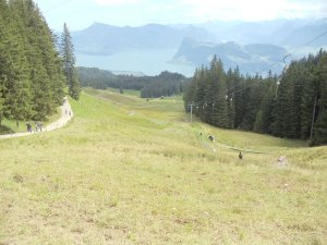 294645_2415664114983_1898496_n