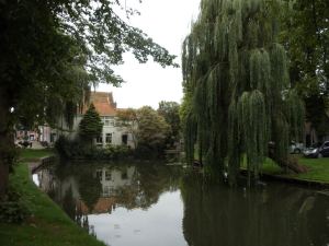 304866_2415303145959_1646844_n