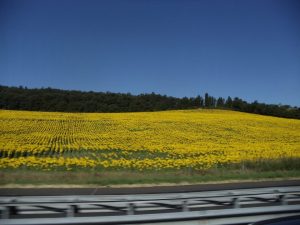 312071_2415607393565_2472152_n