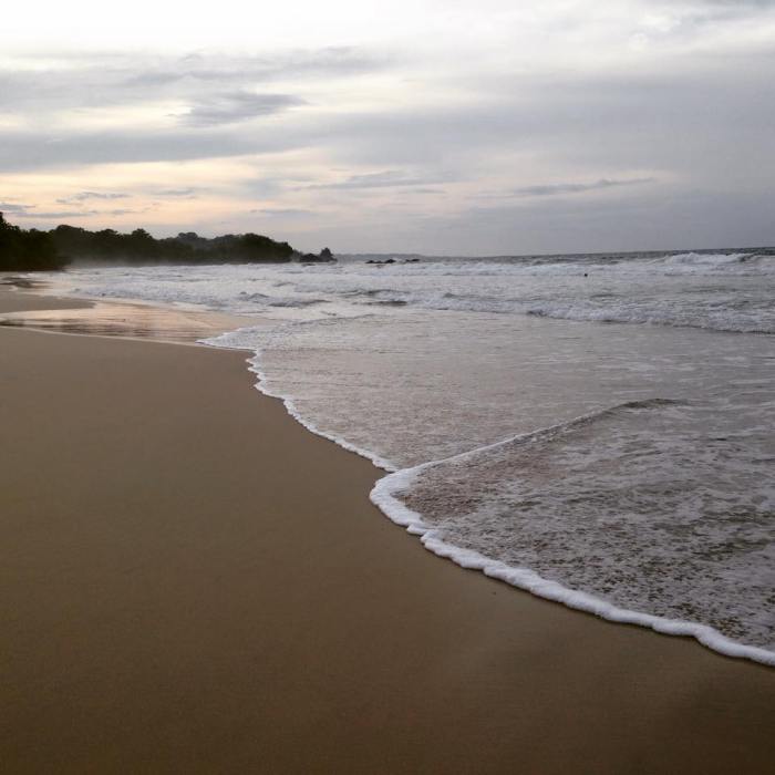 11039248_10206897056328915_2901151812886754036_n