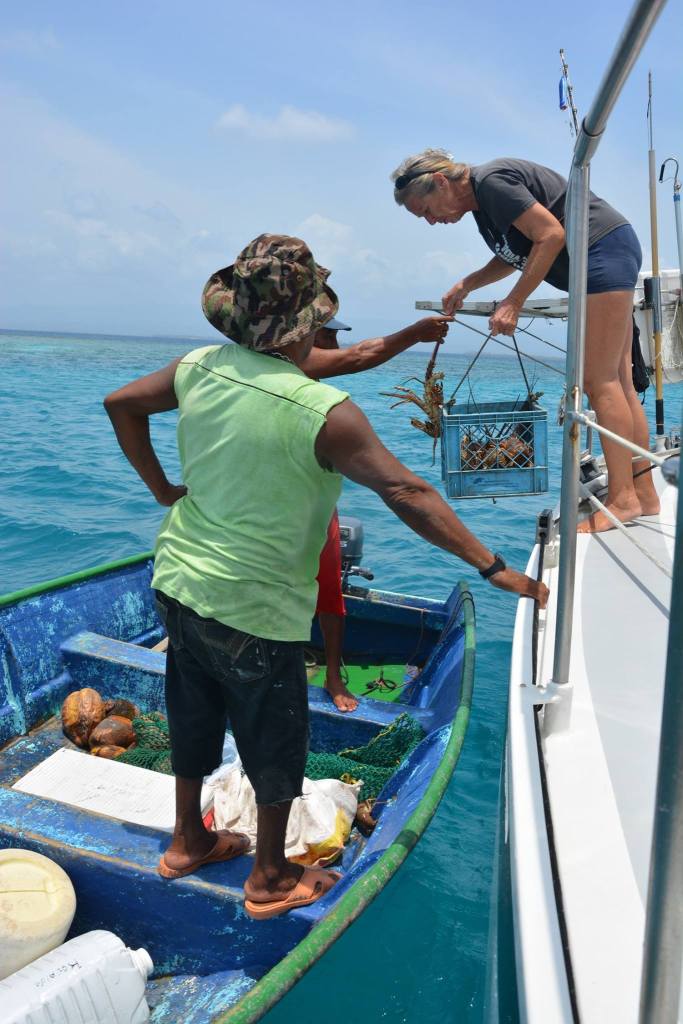 11174574_10207052516375319_2167294155959333430_o