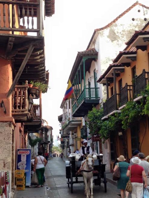 11081470_10207074739210876_303235854727266351_n