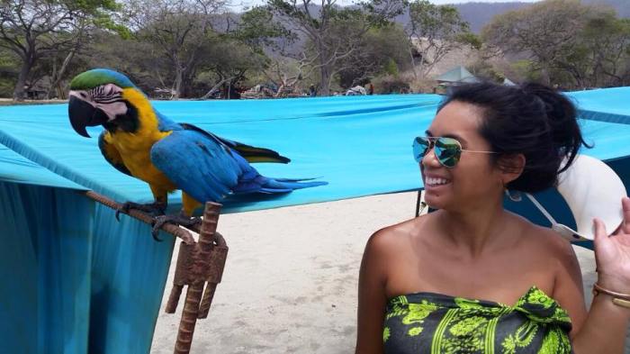 11295705_10207125564801484_2023469031157163848_n